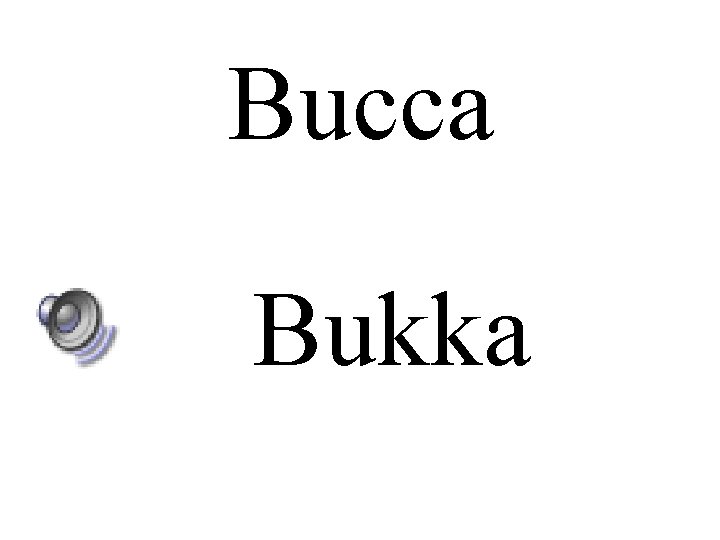 Bucca Bukka 