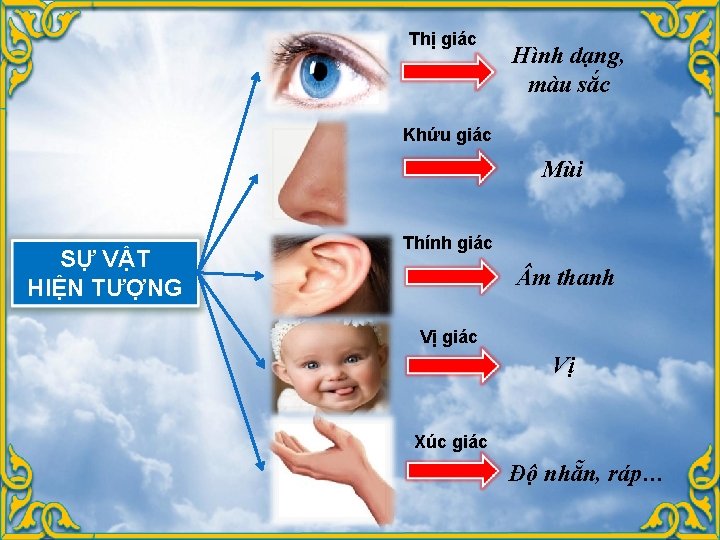 Thị giác Hình dạng, màu sắc Khứu giác Mùi SỰ VẬT HIỆN TƯỢNG Thính