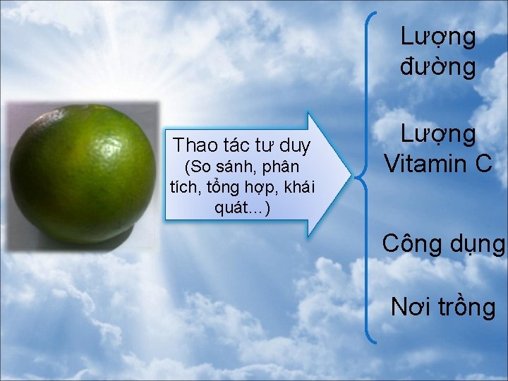 Lượng đường Thao tác tư duy (So sánh, phân tích, tổng hợp, khái quát…)