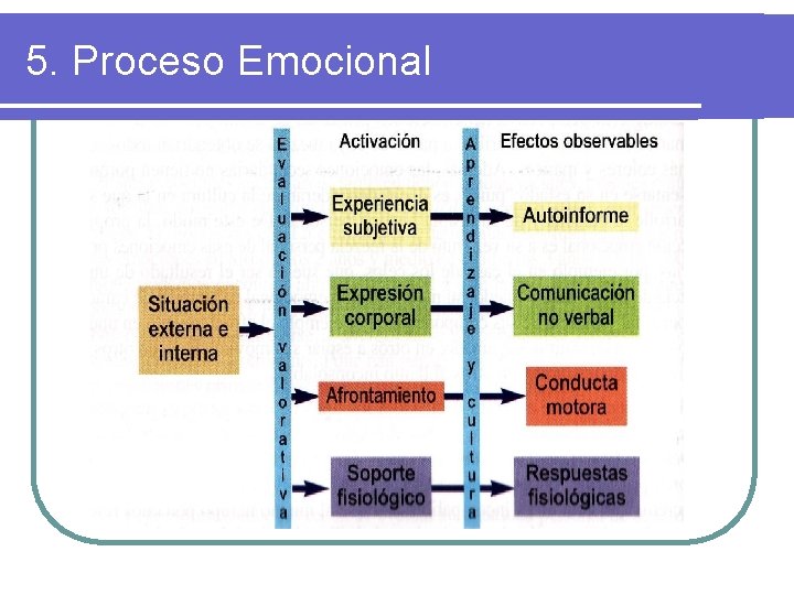 5. Proceso Emocional 