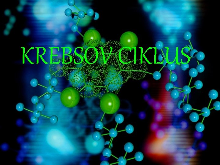 KREBSOV CIKLUS 