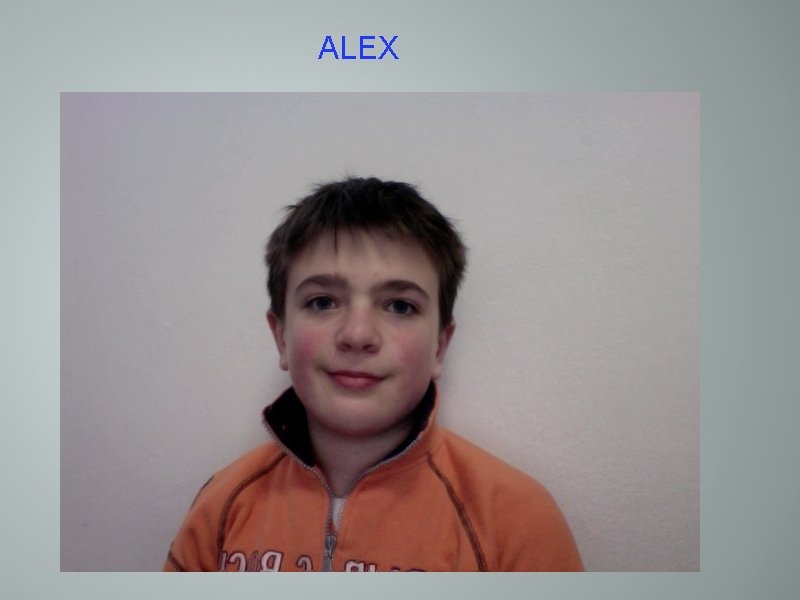 ALEX 