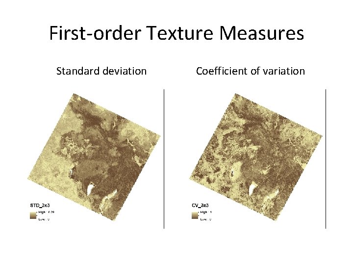 First-order Texture Measures Standard deviation Coefficient of variation 
