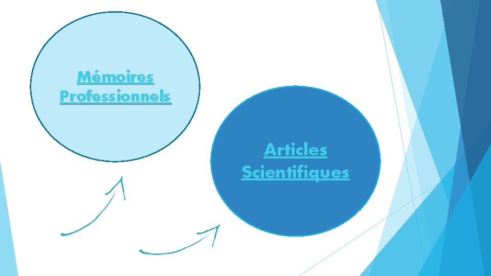 Mémoires Professionnels Articles Scientifiques 