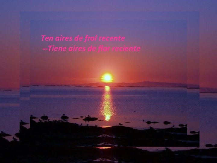 Ten aires de frol recente --Tiene aires de flor reciente Ten aires de frol recente --Tiene aires de flor reciente