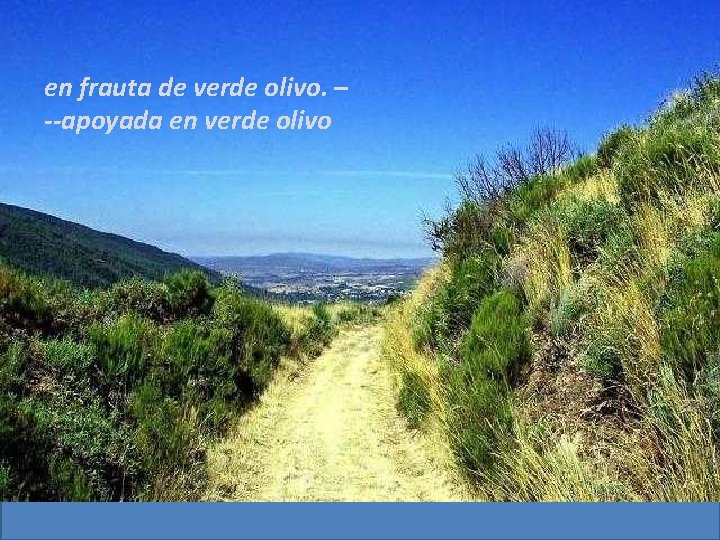 en frauta de verde olivo. – --apoyada en verde olivo en frauta de verde olivo. – --apoyada en verde olivo