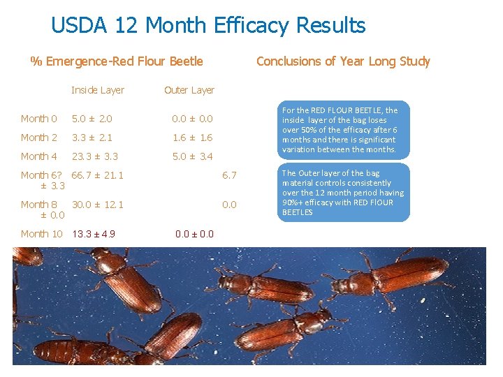 USDA 12 Month Efficacy Results % Emergence-Red Flour Beetle Inside Layer Conclusions of Year