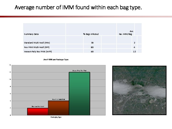 Average number of IMM found within each bag type. Summary Data Ave No. IMM/Bag