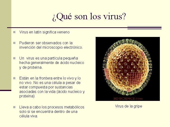¿Qué son los virus? n Virus en latín significa veneno n Pudieron ser observados ¿Qué son los virus? n Virus en latín significa veneno n Pudieron ser observados