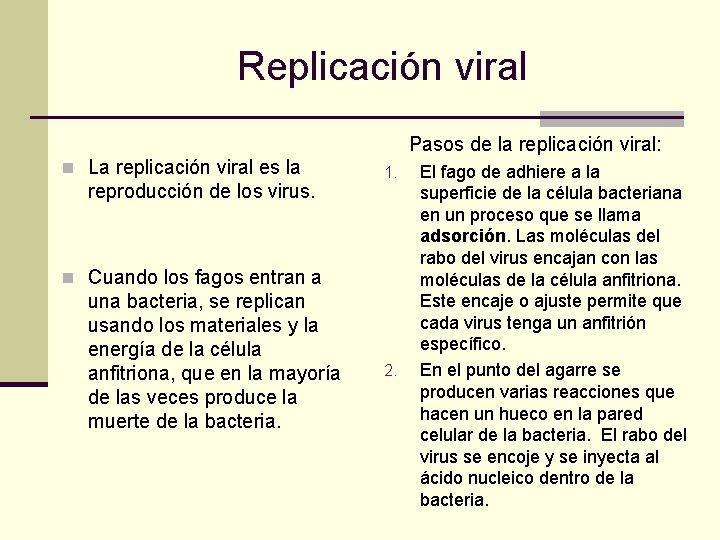 Replicación viral Pasos de la replicación viral: n La replicación viral es la reproducción