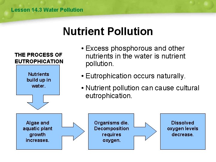 Lesson 14. 3 Water Pollution Nutrient Pollution THE PROCESS OF EUTROPHICATION Nutrients build up
