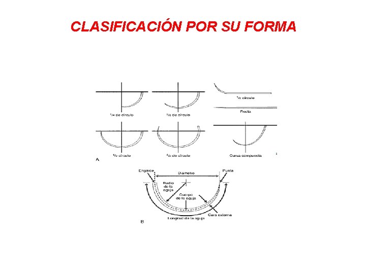 CLASIFICACIÓN POR SU FORMA 