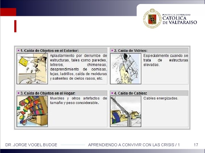 DR. JORGE VOGEL BUDGE APRENDIENDO A CONVIVIR CON LAS CRISIS / 1 17 