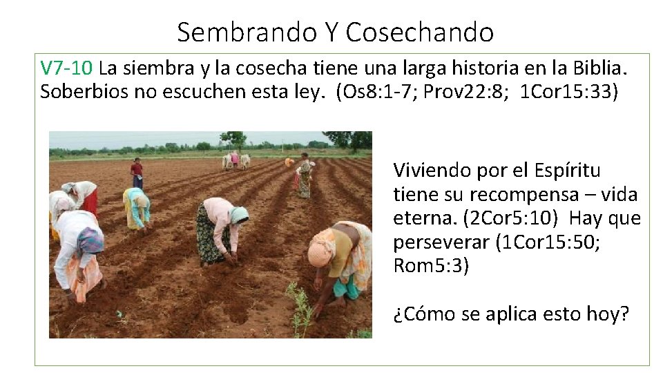 Sembrando Y Cosechando V 7 -10 La siembra y la cosecha tiene una larga