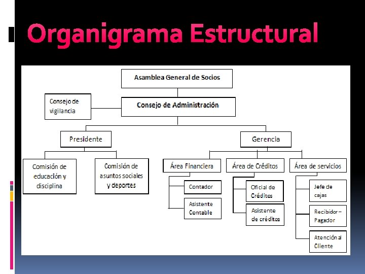 Organigrama Estructural 