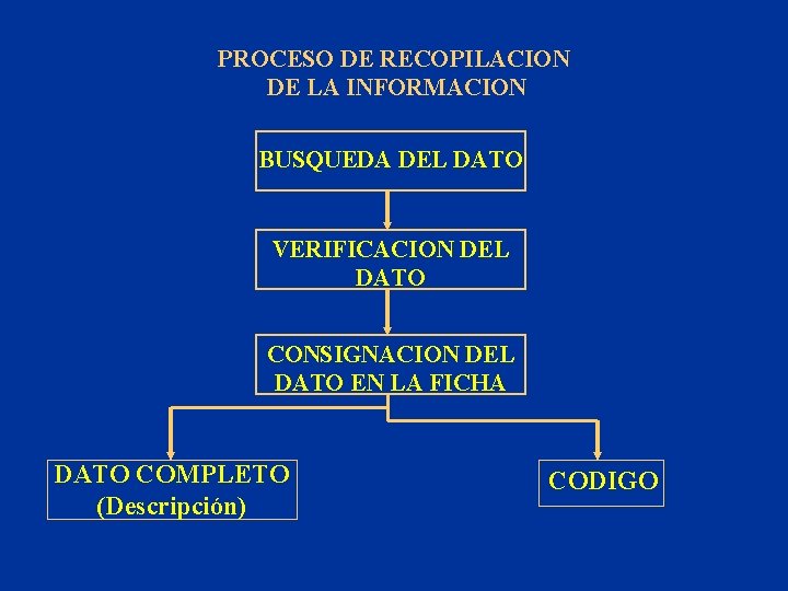 PROCESO DE RECOPILACION DE LA INFORMACION BUSQUEDA DEL DATO VERIFICACION DEL DATO CONSIGNACION DEL
