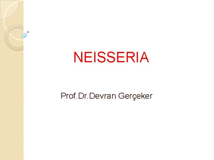 NEISSERIA Prof. Dr. Devran Gerçeker 
