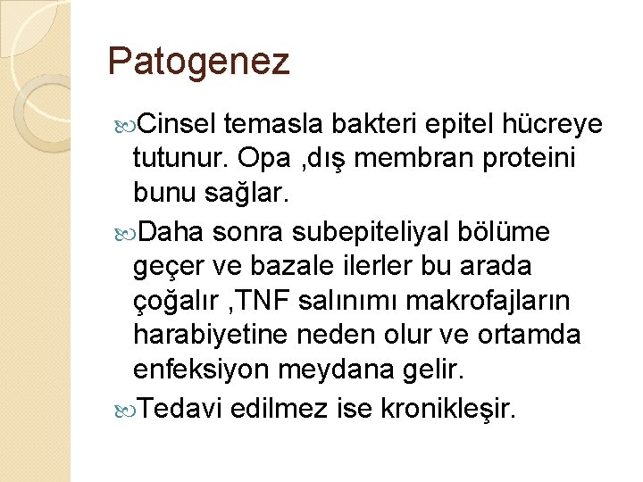 Patogenez Cinsel temasla bakteri epitel hücreye tutunur. Opa , dış membran proteini bunu sağlar.