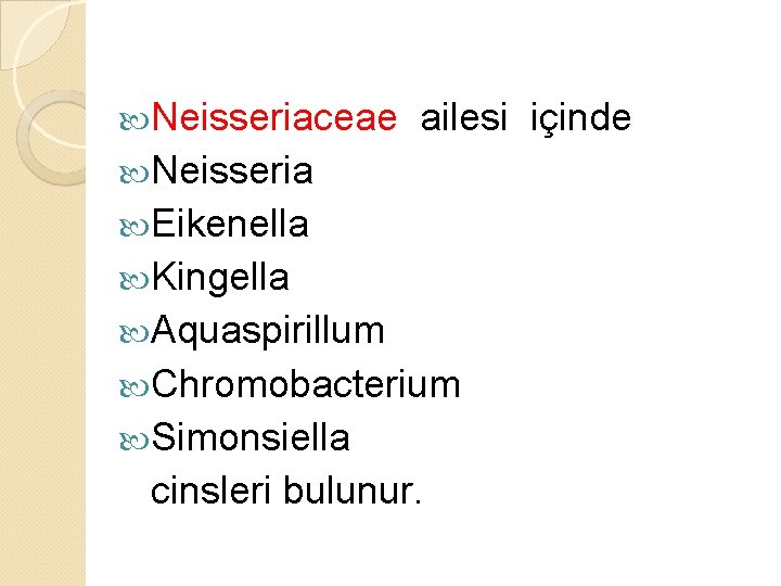  Neisseriaceae ailesi içinde Neisseria Eikenella Kingella Aquaspirillum Chromobacterium Simonsiella cinsleri bulunur. 