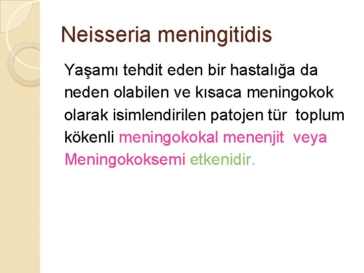 Neisseria meningitidis Yaşamı tehdit eden bir hastalığa da neden olabilen ve kısaca meningokok olarak