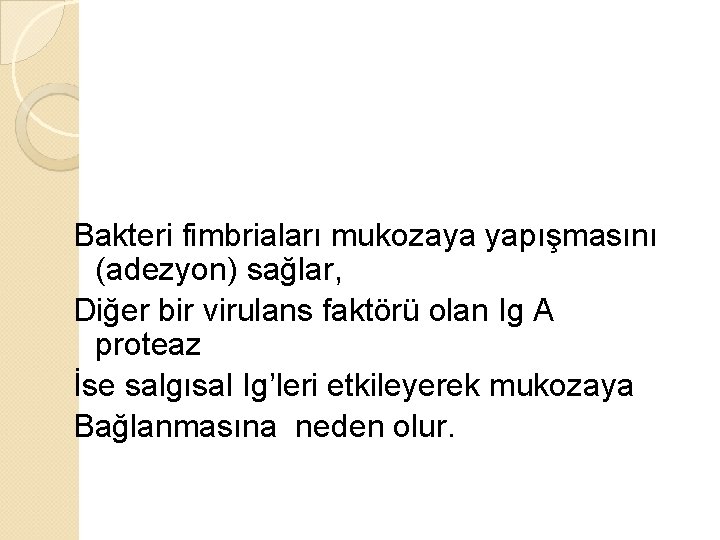 Bakteri fimbriaları mukozaya yapışmasını (adezyon) sağlar, Diğer bir virulans faktörü olan Ig A proteaz