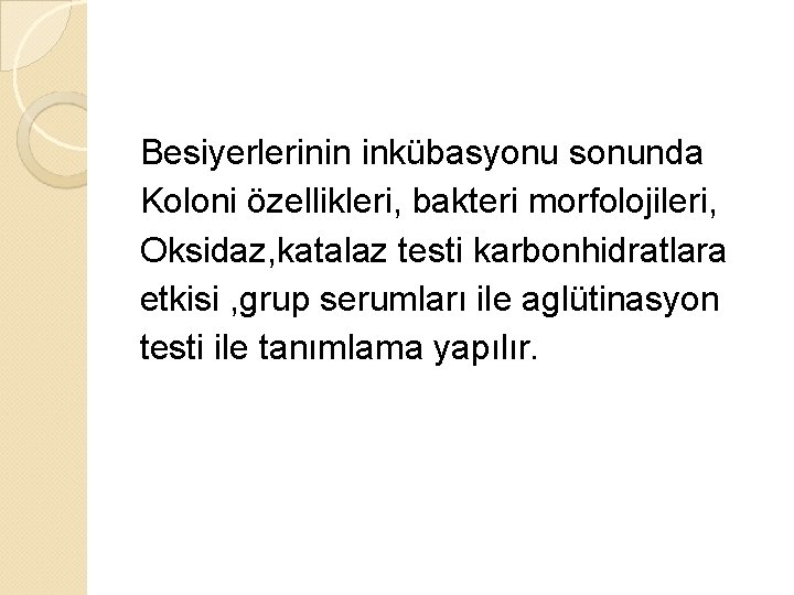 Besiyerlerinin inkübasyonu sonunda Koloni özellikleri, bakteri morfolojileri, Oksidaz, katalaz testi karbonhidratlara etkisi , grup