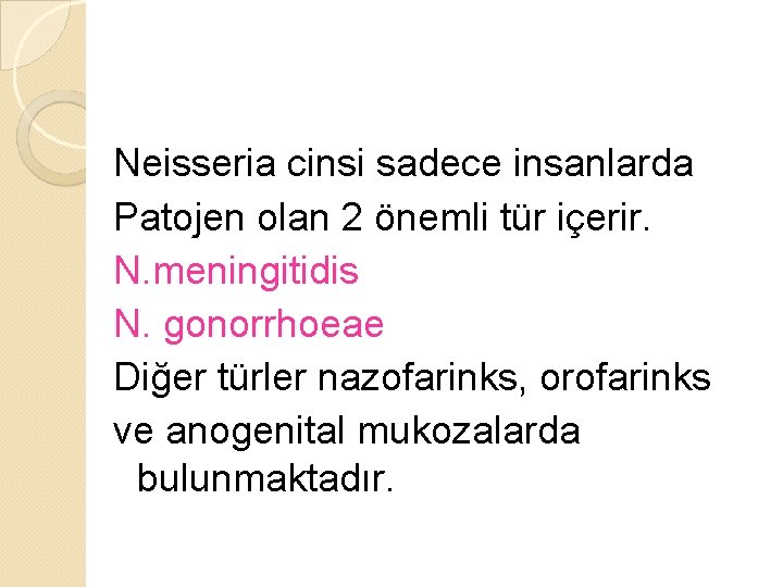 Neisseria cinsi sadece insanlarda Patojen olan 2 önemli tür içerir. N. meningitidis N. gonorrhoeae