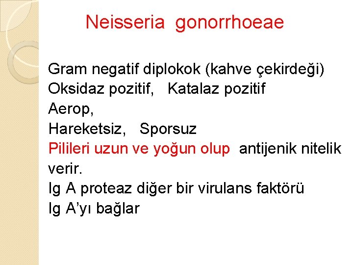 Neisseria gonorrhoeae Gram negatif diplokok (kahve çekirdeği) Oksidaz pozitif, Katalaz pozitif Aerop, Hareketsiz, Sporsuz