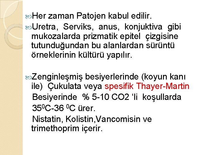  Her zaman Patojen kabul edilir. Uretra, Serviks, anus, konjuktiva gibi mukozalarda prizmatik epitel