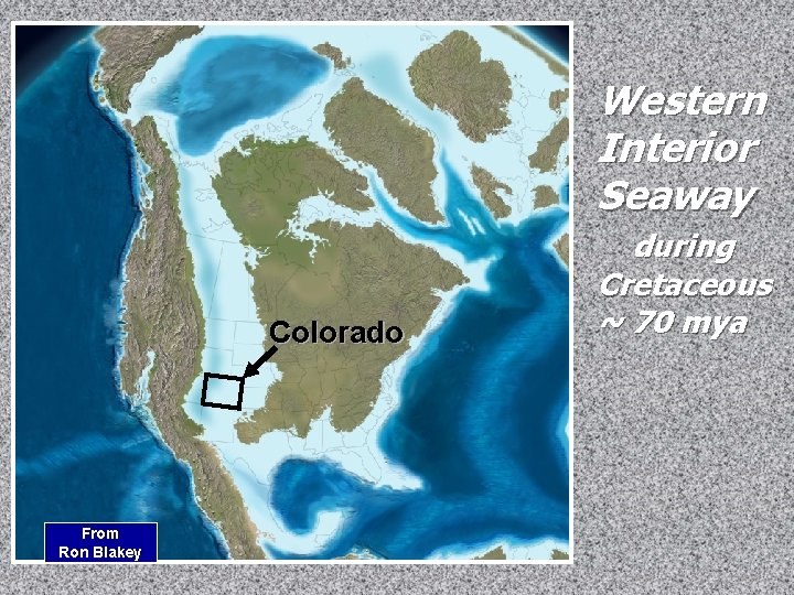 Western Interior Seaway Colorado From Ron Blakey during Cretaceous ~ 70 mya Western Interior Seaway Colorado From Ron Blakey during Cretaceous ~ 70 mya