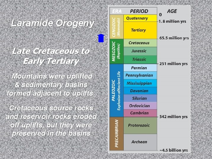 Laramide Orogeny Late Cretaceous to Early Tertiary Mountains were uplifted & sedimentary basins formed Laramide Orogeny Late Cretaceous to Early Tertiary Mountains were uplifted & sedimentary basins formed