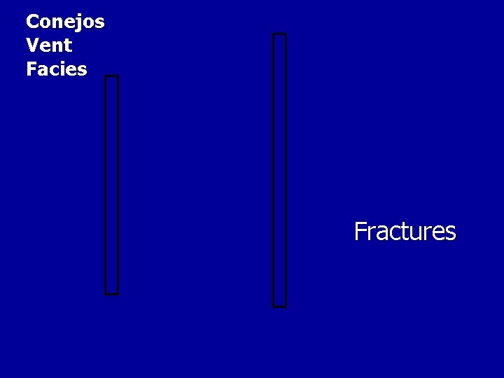 Conejos Vent Facies Fractures Conejos Vent Facies Fractures