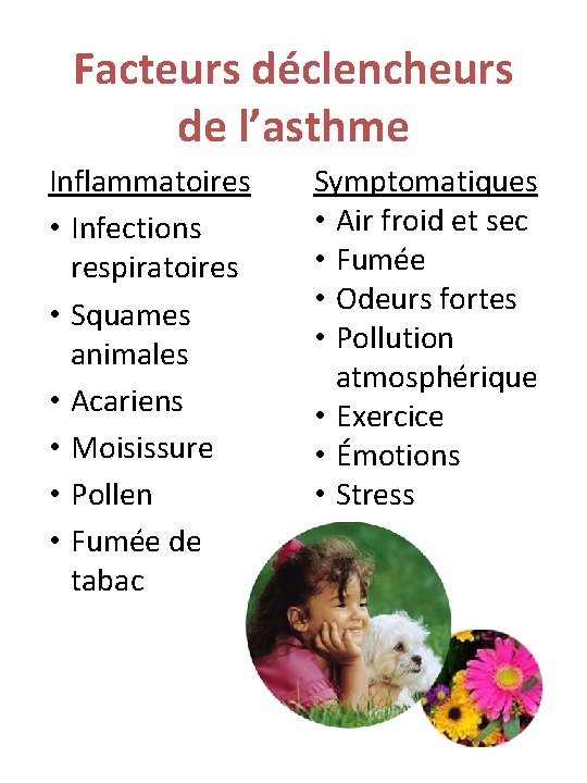 Facteurs déclencheurs de l’asthme Inflammatoires • Infections respiratoires • Squames animales • Acariens •