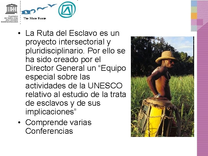  • La Ruta del Esclavo es un proyecto intersectorial y pluridisciplinario. Por ello