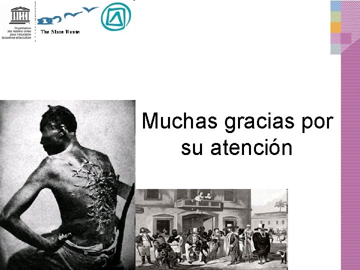 Muchas gracias por su atención 