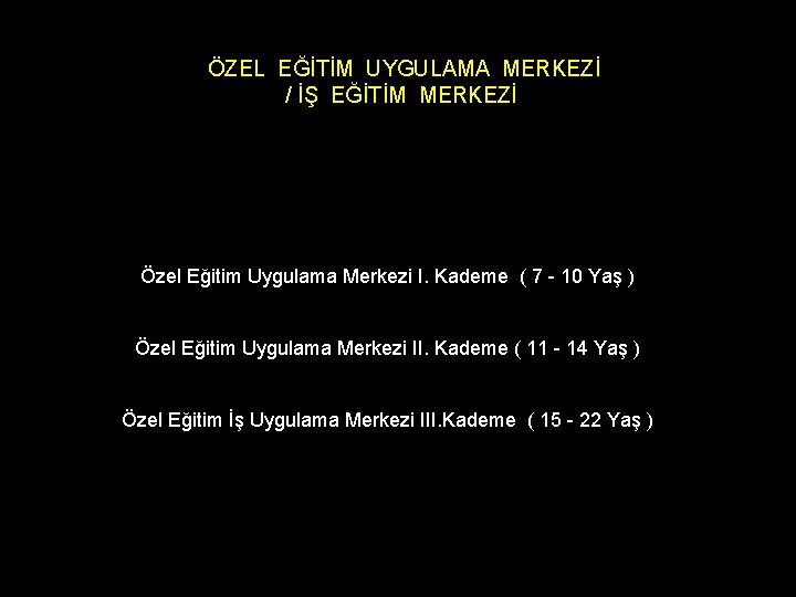 ÖZEL EĞİTİM UYGULAMA MERKEZİ / İŞ EĞİTİM MERKEZİ Özel Eğitim Uygulama Merkezi I. Kademe