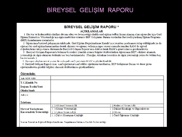 BİREYSEL GELİŞİM RAPORU 