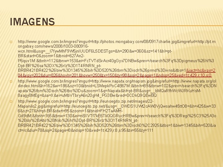 IMAGENS � � � http: //www. google. com. br/imgres? imgurl=http: //photos. mongabay. com/08/0917 charlie.