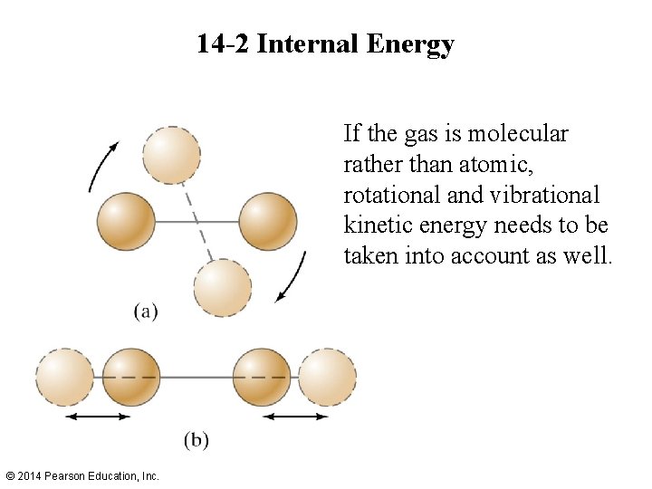 14 -2 Internal Energy If the gas is molecular rather than atomic, rotational and