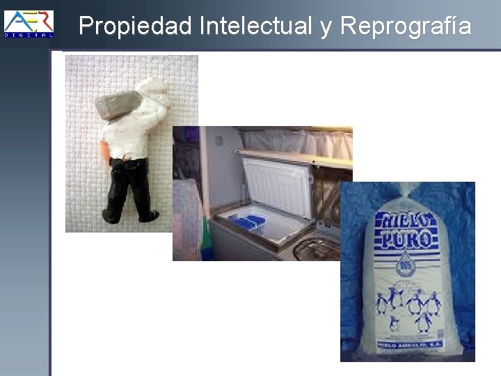 Propiedad Intelectual y Reprografía 