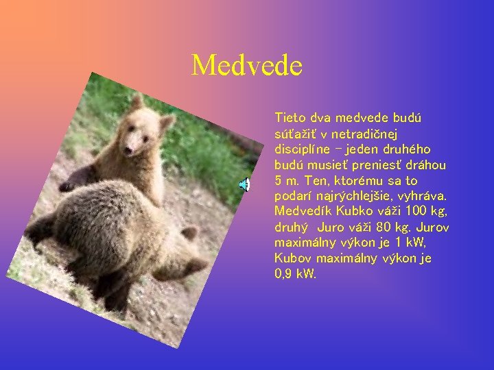 Medvede Tieto dva medvede budú súťažiť v netradičnej disciplíne - jeden druhého budú musieť