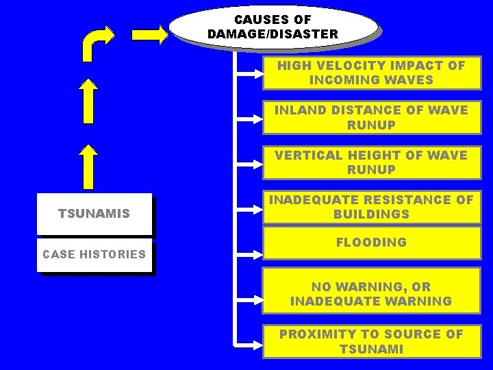 CAUSES OF DAMAGE/DISASTER HIGH VELOCITY IMPACT OF INCOMING WAVES INLAND DISTANCE OF WAVE RUNUP CAUSES OF DAMAGE/DISASTER HIGH VELOCITY IMPACT OF INCOMING WAVES INLAND DISTANCE OF WAVE RUNUP