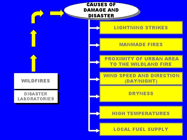 CAUSES OF DAMAGE AND DISASTER LIGHTNING STRIKES MANMADE FIRES PROXIMITY OF URBAN AREA TO