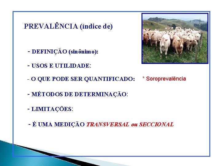 PREVALÊNCIA (índice de) - DEFINIÇÃO (sinônimo): - USOS E UTILIDADE: - O QUE PODE PREVALÊNCIA (índice de) - DEFINIÇÃO (sinônimo): - USOS E UTILIDADE: - O QUE PODE