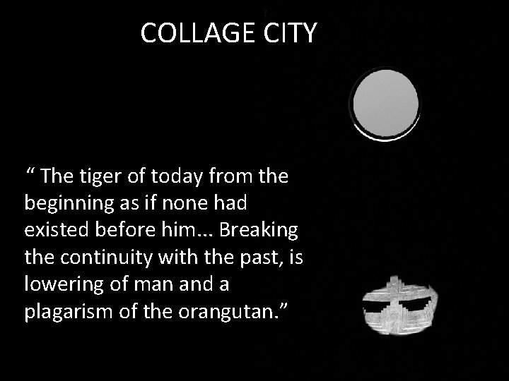 COLLAGE CITY “ The tiger of today from the beginning as if none had