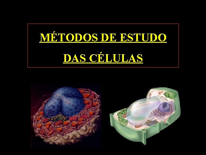 MÉTODOS DE ESTUDO DAS CÉLULAS 