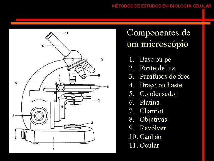 MÉTODOS DE ESTUDOS EM BIOLOGIA CELULAR Componentes de um microscópio 1. Base ou pé