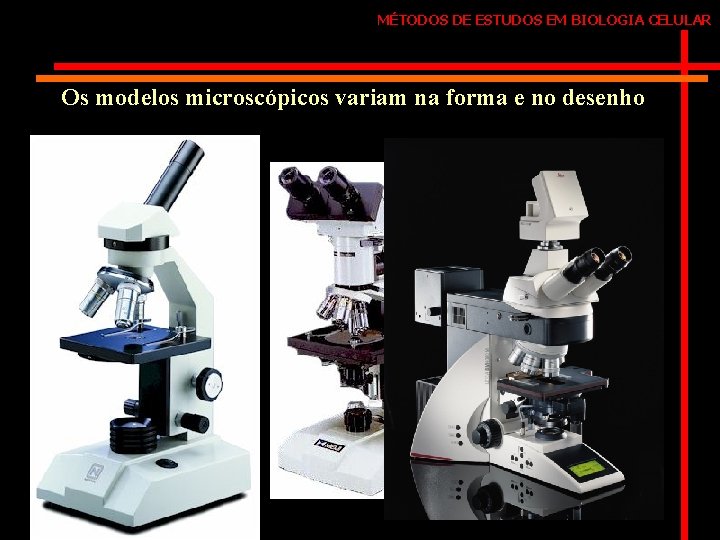 MÉTODOS DE ESTUDOS EM BIOLOGIA CELULAR Os modelos microscópicos variam na forma e no