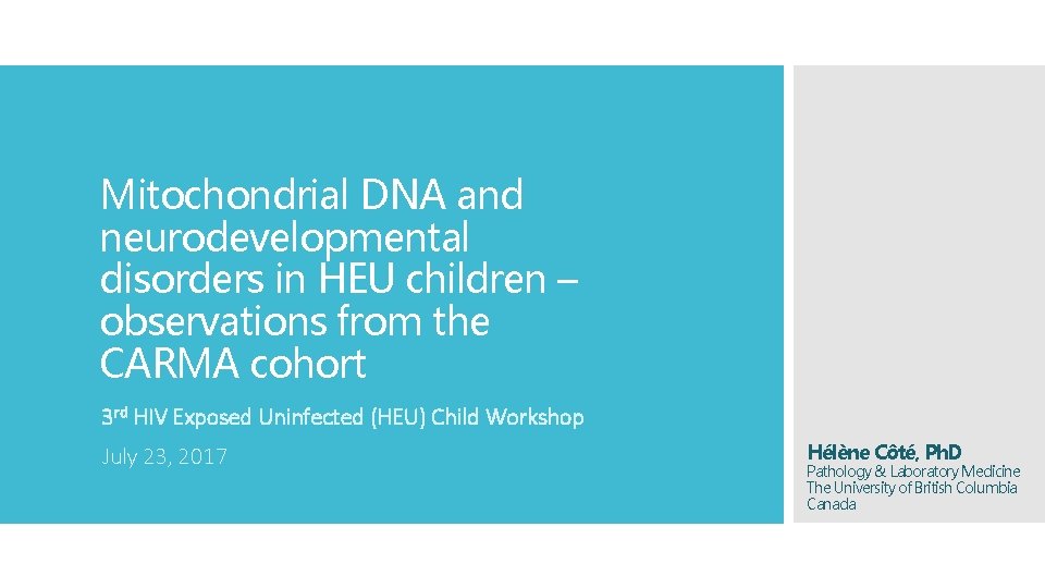 Mitochondrial DNA and neurodevelopmental disorders in HEU children – observations from the CARMA cohort