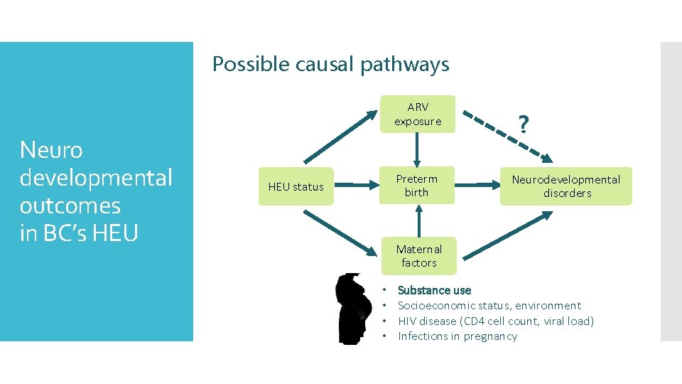 Possible causal pathways ARV exposure Neuro developmental outcomes in BC’s HEU Preterm birth HEU